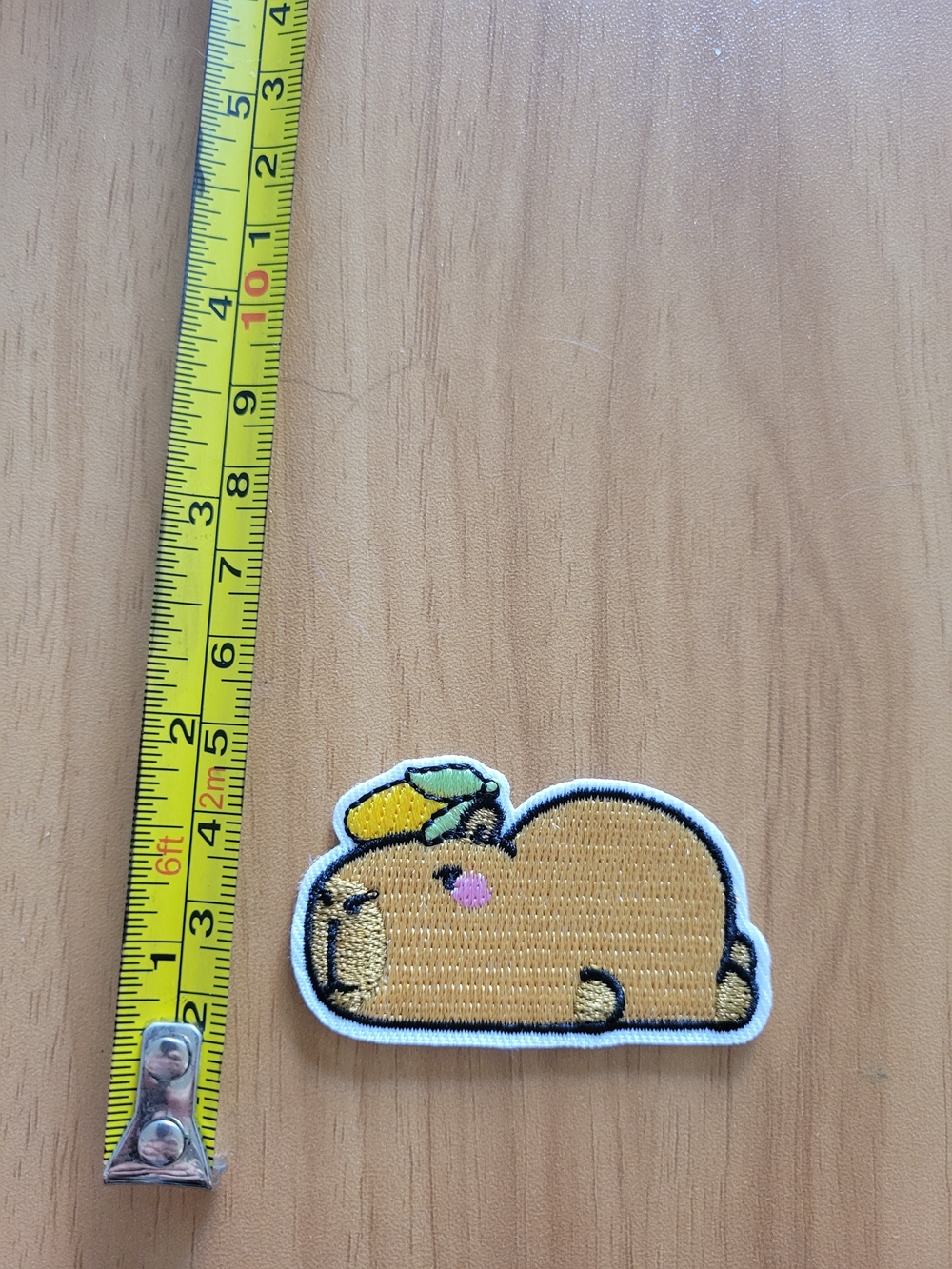 🎃BUY 2 GET 1 FREE🎃Small Pets Capybara Patch